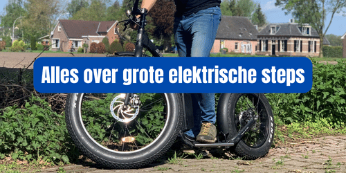Grote elektrische steps