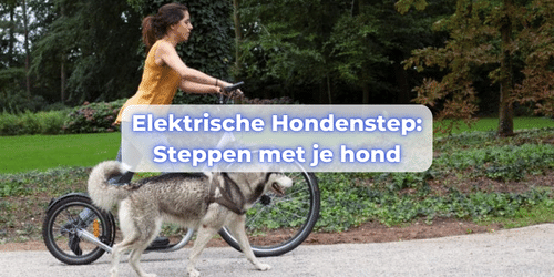 Elektrische hondenstep